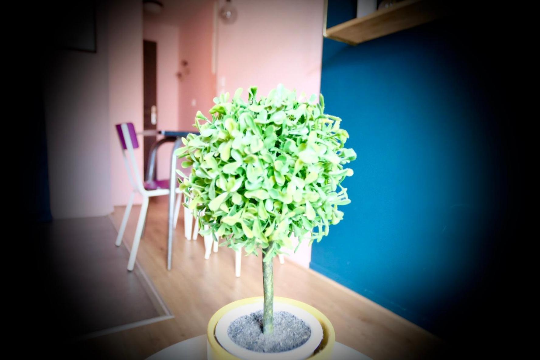 Appartamento La Bonbonniere Rose Caen Esterno foto